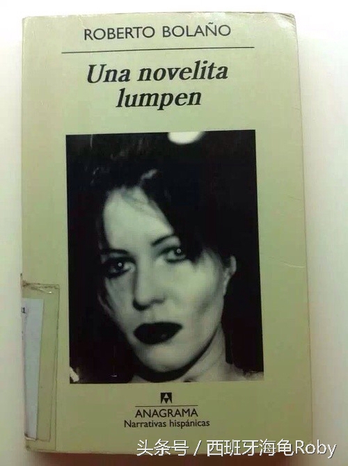 西语小说阅读笔记,怎么提高西语阅读流畅性