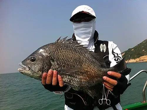 东澳岛免费钓点,东澳岛钓点攻略