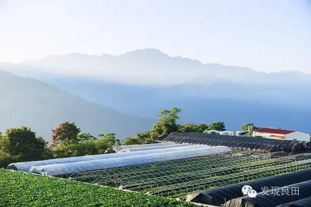 台湾第一民宿聚集地系列四：那些特殊民宿