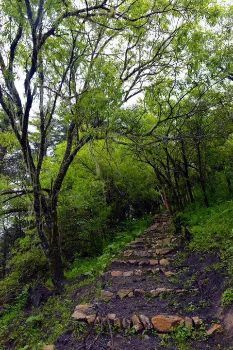 分享四川最值得去的9个地方景点,福利市景点