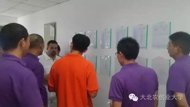 母猪妊娠检查最佳时间,母猪早期妊娠诊断的方法有哪些