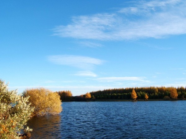 承德塞罕坝国家森林公园雾凇,承德塞罕坝公园