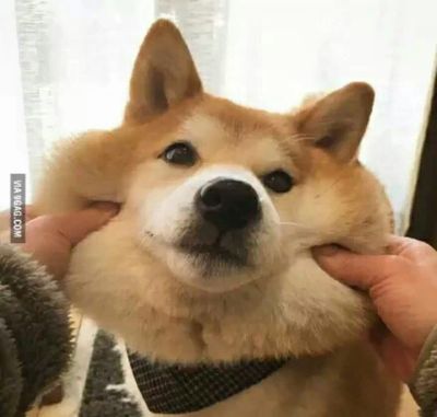 猝不及防的整人套路,这种猝不及防的套路谁能受得了啊