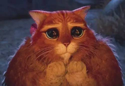 英语怎么表达我有点胖,胖用英语怎么形容比较优雅