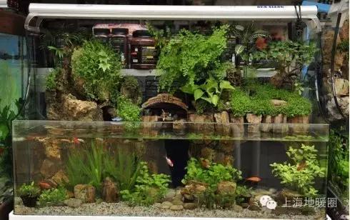 空调房里防干燥的窍门,缓解空调房干燥