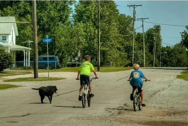 自行车骑行西藏遇狗,骑车被狗追怎么办