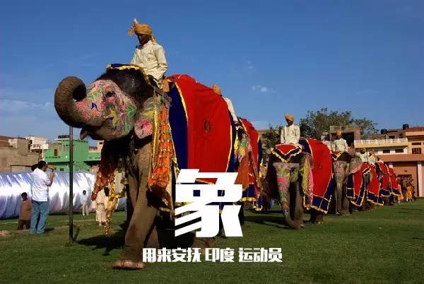 中国运动员在巴西被偷,奥组委这样补偿行不行?