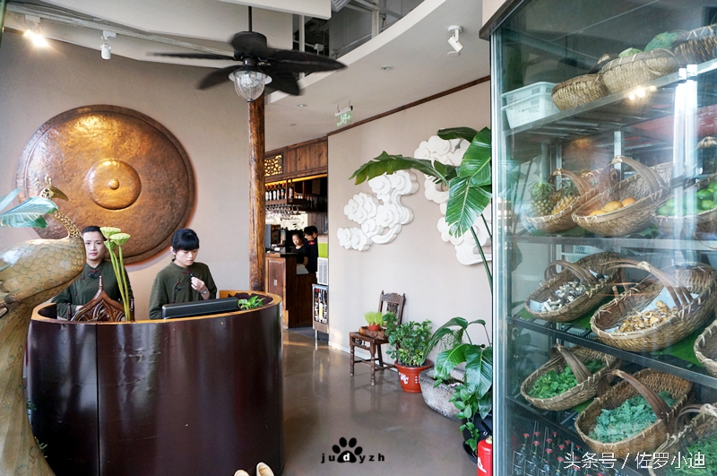 一晴方觉夏深，赴一场蘑菇的饕餮盛宴