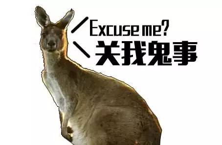 本届巴西奥组委:谁能帮我海淘只熊猫?