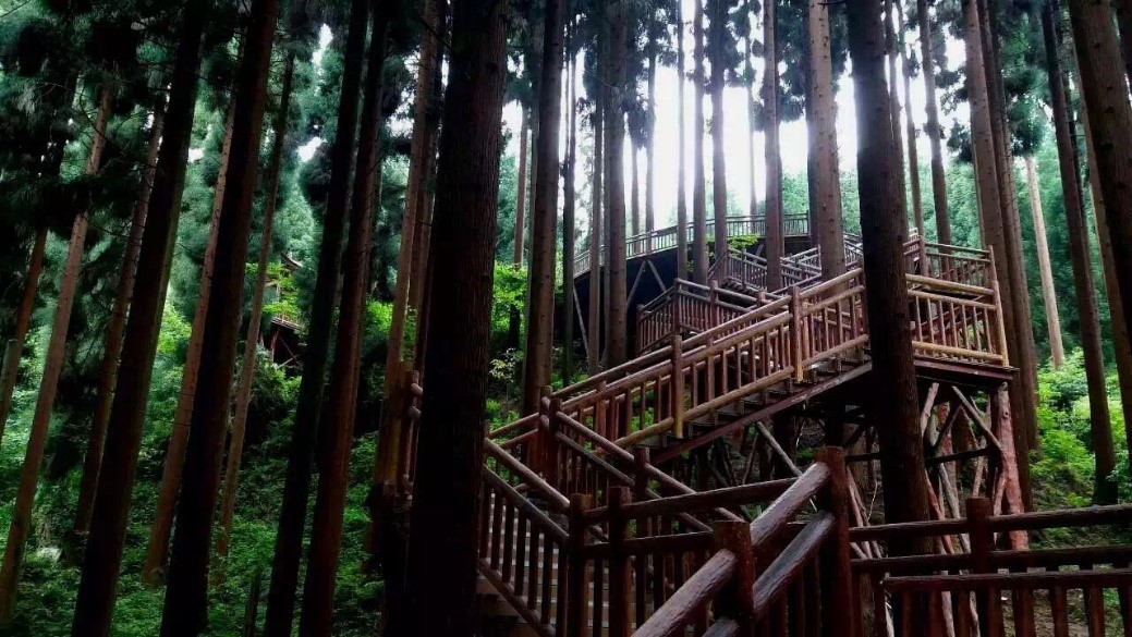 峨眉山半山七里坪风景,了解峨眉山七里坪