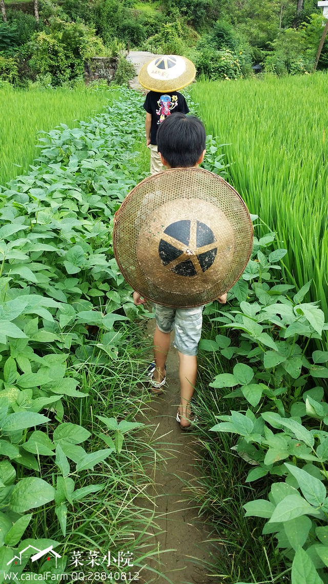 哪里适合隐居过田园生活,唯美的田园隐居生活