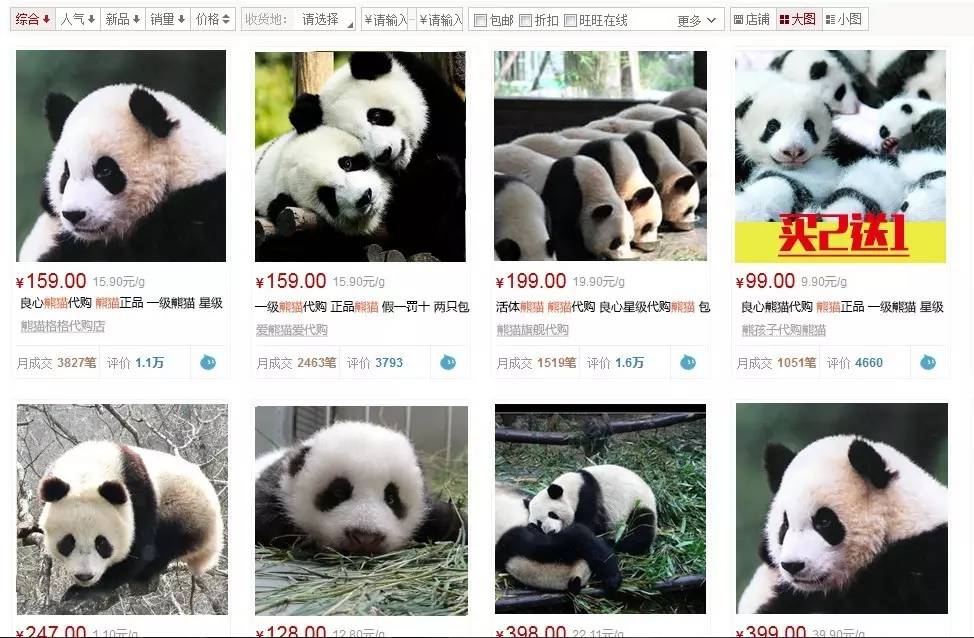 中国运动员里约遭盗抢,2016年巴西奥运会运动员东西被偷