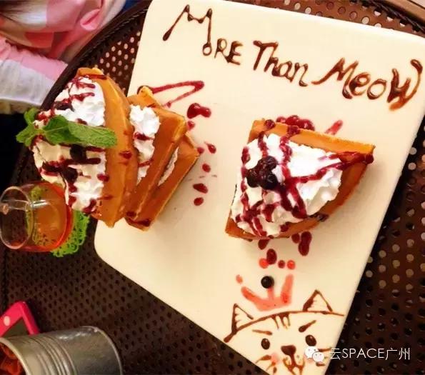 喵星人咖啡厅，治愈你疲惫的心！