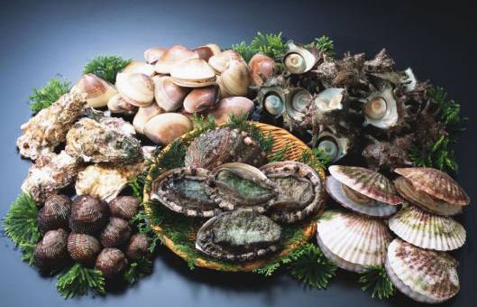 惊！原来这样洗头会令头发越来越少！附：老中医生发秘方！