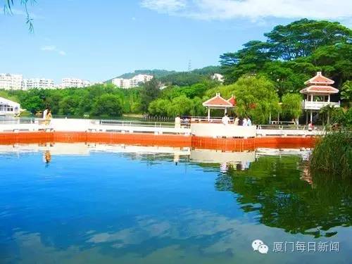 厦门最凉快的景点,厦门岛内适合烧烤的地方