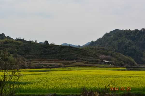 稻草人旅行有什么特色,稻草人旅行沙漠