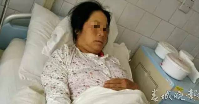 食用野生菌科普知识,菌类常识