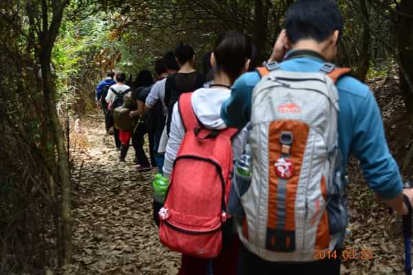 稻草人旅行有什么特色,稻草人旅行沙漠