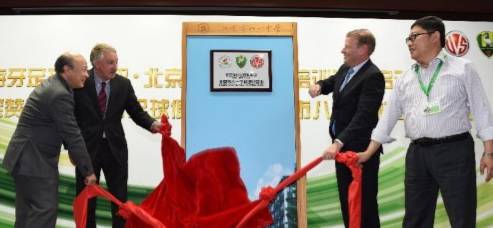 一天买了仨外国球队，中国老板为啥就爱玩个球