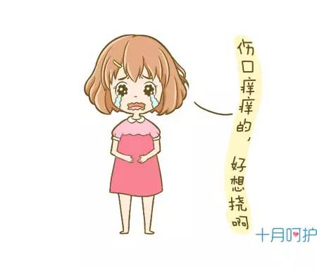 伊能静产后恢复,伊能静晒剖腹产伤口照片