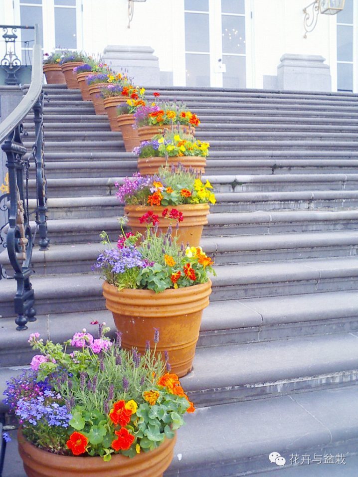 走到哪都是风景视频,走到哪里都是美景
