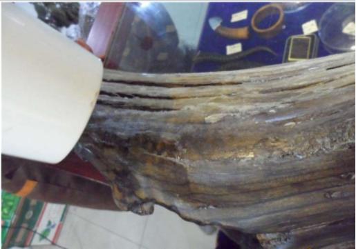 diy打蜡教程全过程,上蜡的正确方法和步骤