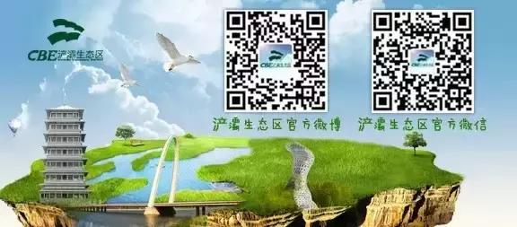 灞岸十里画廊和人山人海saybye~