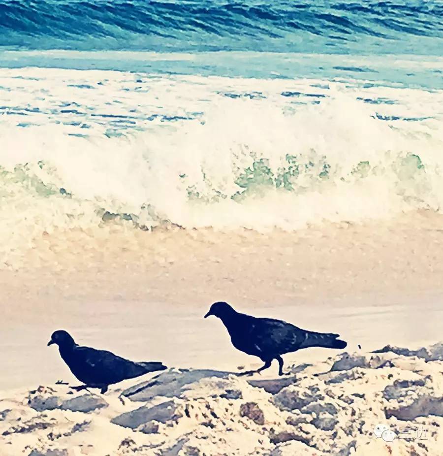 巴西里约热内卢真实状况,里约热内卢巴西