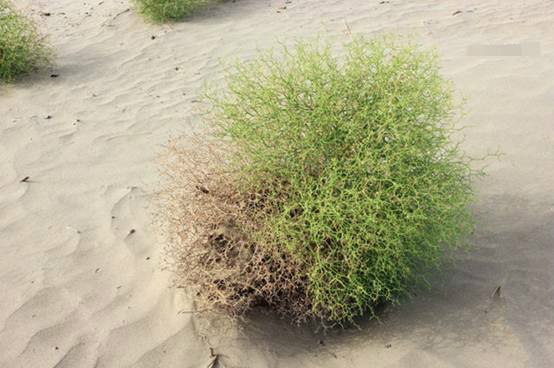 超多美图慎入！开神车，走丝路，这些不可思议的美景就在中国！