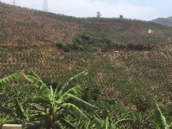 云南红河哈尼族彝族自治州美食,云南红河哈尼族彝族自治州小吃