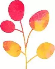 名科名医|肿瘤内科：梁军