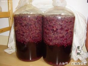 自酿葡萄酒有酸味正常吗,自酿葡萄酒有酸味怎么办