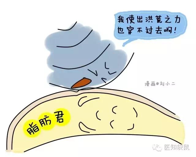 深度解析:普通B超、三维及四维彩超的区别