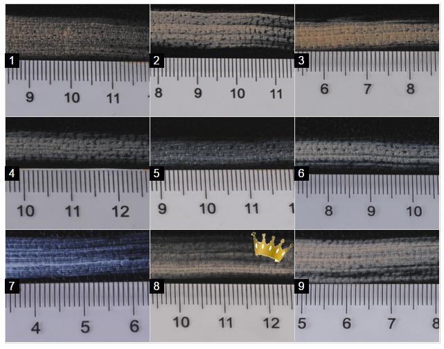 cc霜bb霜和粉底的区别,持久大红cc霜