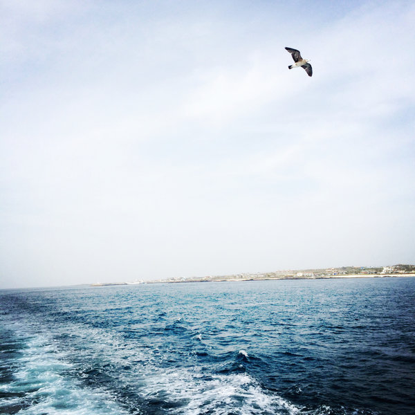 济州岛旅游攻略地图高清,济州岛旅游攻略图片三日游8月