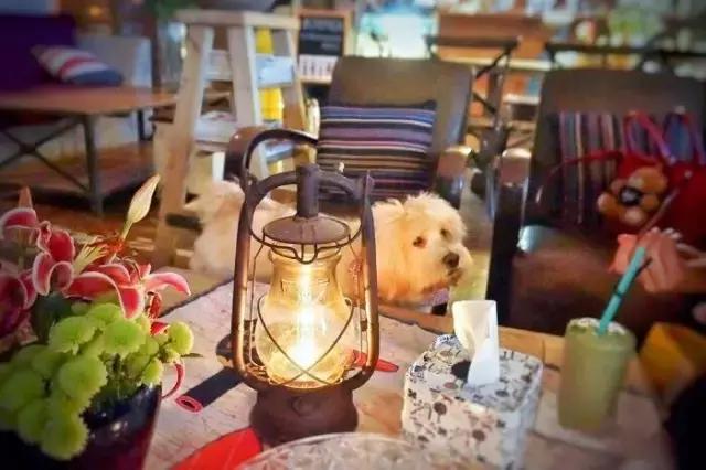 魔都隐藏酒吧,魔都隐秘咖啡