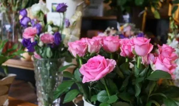 最爱文艺范|郑州最文艺的10家花店