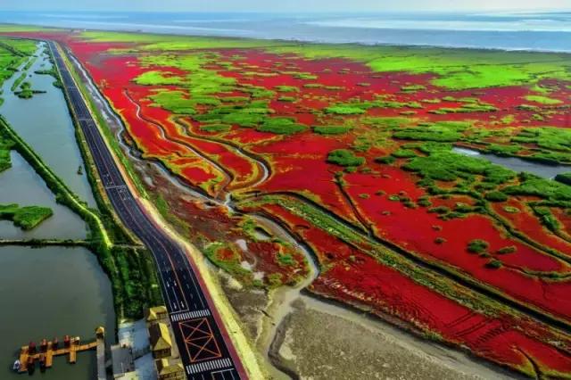 盘锦免费一日旅游景点推荐一下,盘锦旅游攻略必去景点