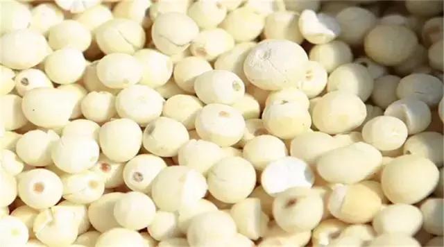 苏州鸡头米为什么那么贵,苏州鸡头米价格多少钱一斤