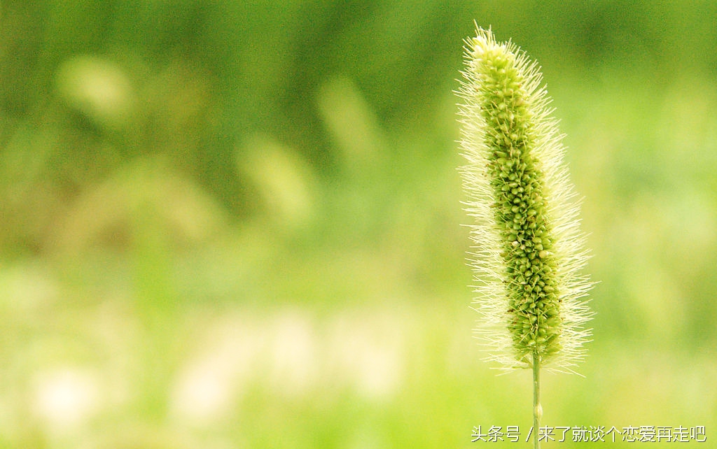 福尔摩斯小姐的青春就这样悄然奔逃