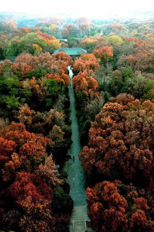 天津河西买房,南京河西买房的家庭