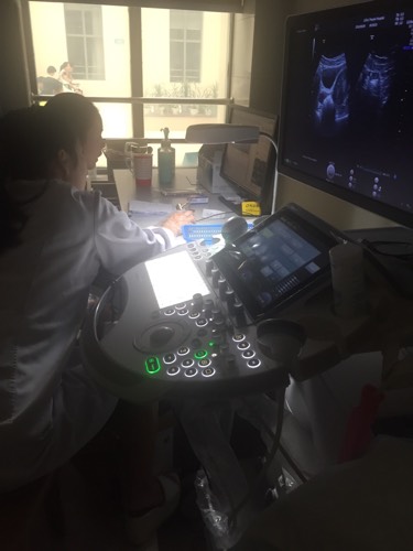 孕酮低未见胚胎什么情况,孕酮低无胎心见红腹痛