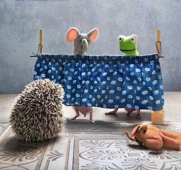 温柔可爱到爆的小刺猬,可爱呆萌小刺猬