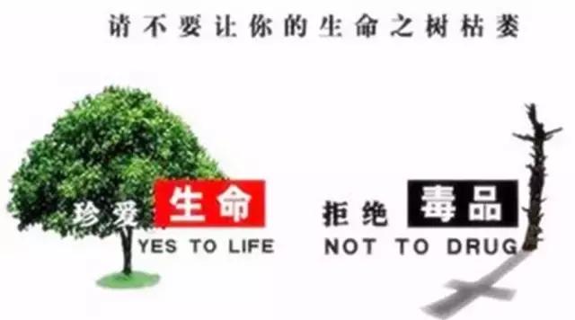 吸毒者为什么毒瘾犯了就会痛苦,吸毒者戒毒后的心理变化