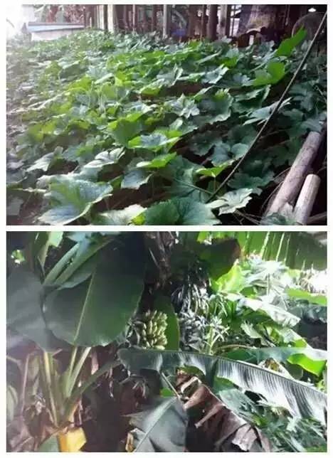 唔使搵啦！人均40元连电视台著名主持人都Hold唔住过来搵食