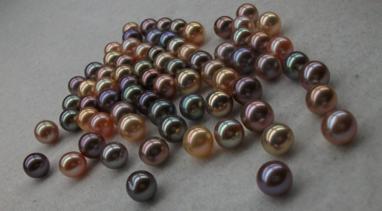 还认为淡水珍珠劣质廉价？来听珠宝鉴定师怎么说