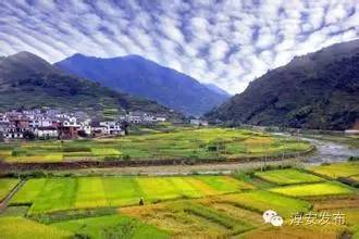 大墅介绍,大墅简介