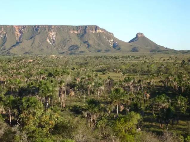 巴西有什么好看的风景,巴西的自然景色