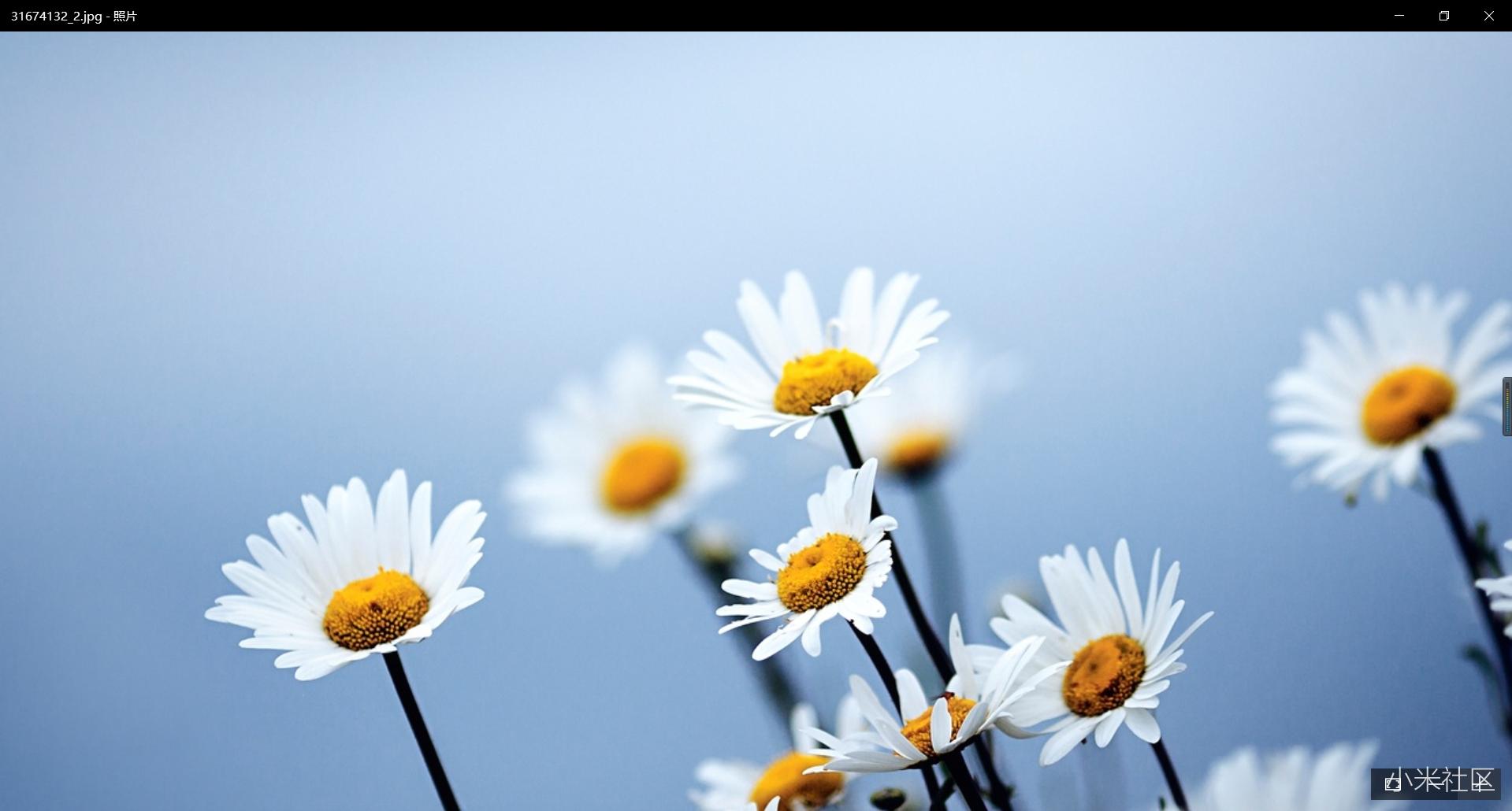 小米笔记本电脑和苹果系统,小米笔记本和苹果macbook