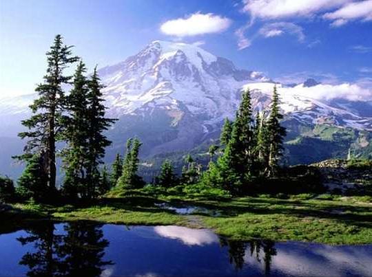 这个公然买卖美女的国家,引起了全世界单身汪的注意